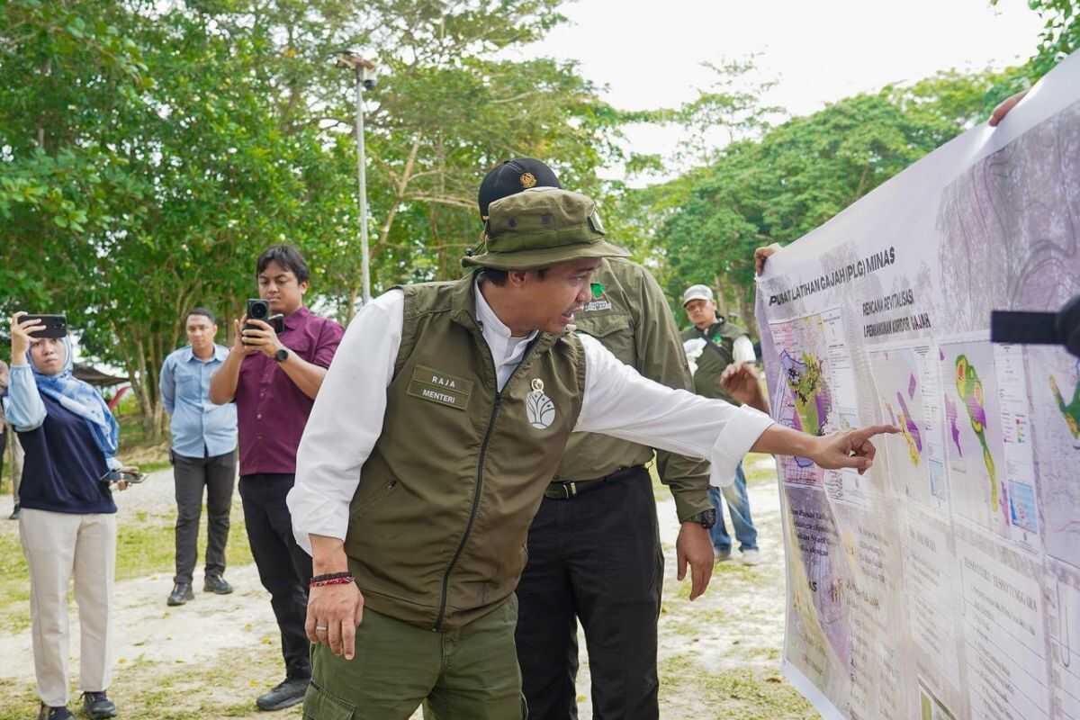 Forestry Minister confirms Riau's Sumatra elephant corridor will be connected soon