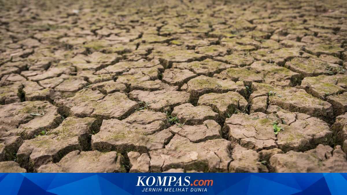 Prepare for a Longer, Drier Dry Season This Year