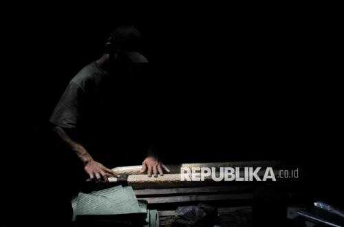 Is Tempeh Really Capable of Triggering Hormonal Disturbances in Men?