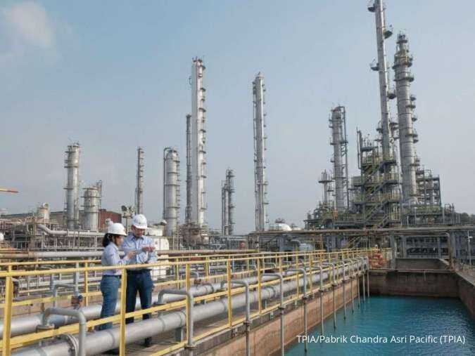 Assessing the Effects of Force Majeure and the Danantara & INA Investment in TPIA