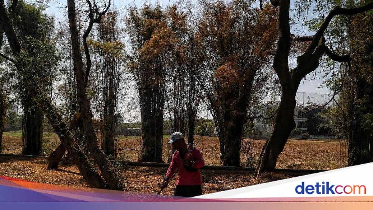 Preventing Drought Ahead of the Dry Season, Jakarta Residents Urged Not to Burn Waste and Conserve Water
