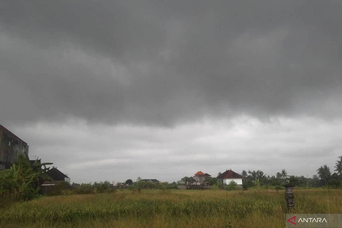 BMKG: Watch out for waves up to five metres in Bali's southern waters