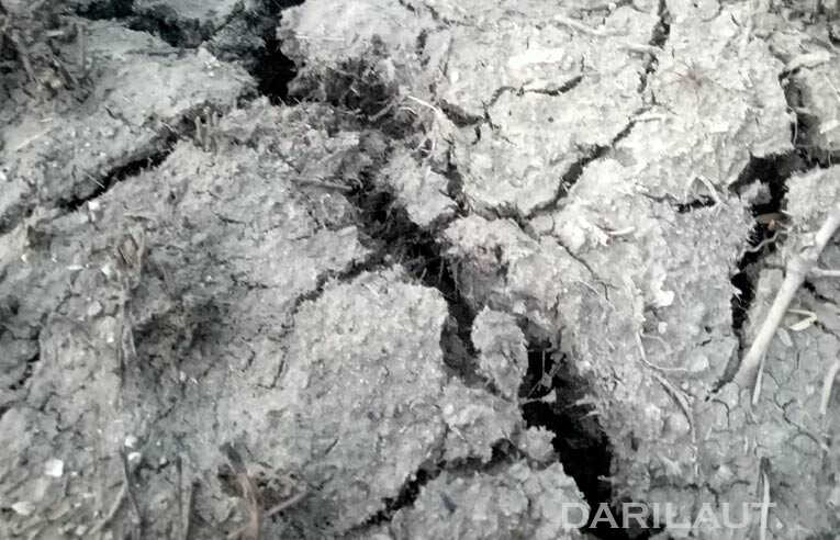 Peak of the 2026 Dry Season in Several Indonesian Regions Expected in August