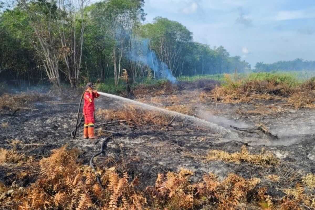 Manggala Agni Successfully Contain Forest and Land Fires in Two Regencies in Riau