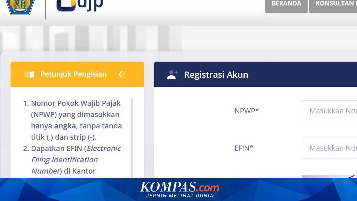 Here's how first-time users log in to Coretax DJP