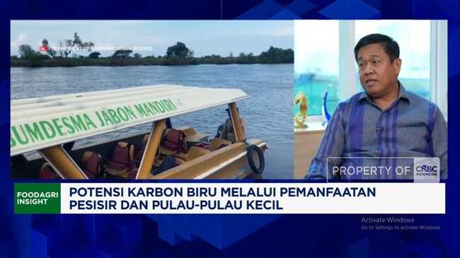 Video: Successful Mangrove Rehabilitation, KKP Reveals Pulau Lusi's Success