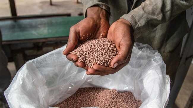 Prices of Five Agricultural Commodities Surge Amid Iran Conflict