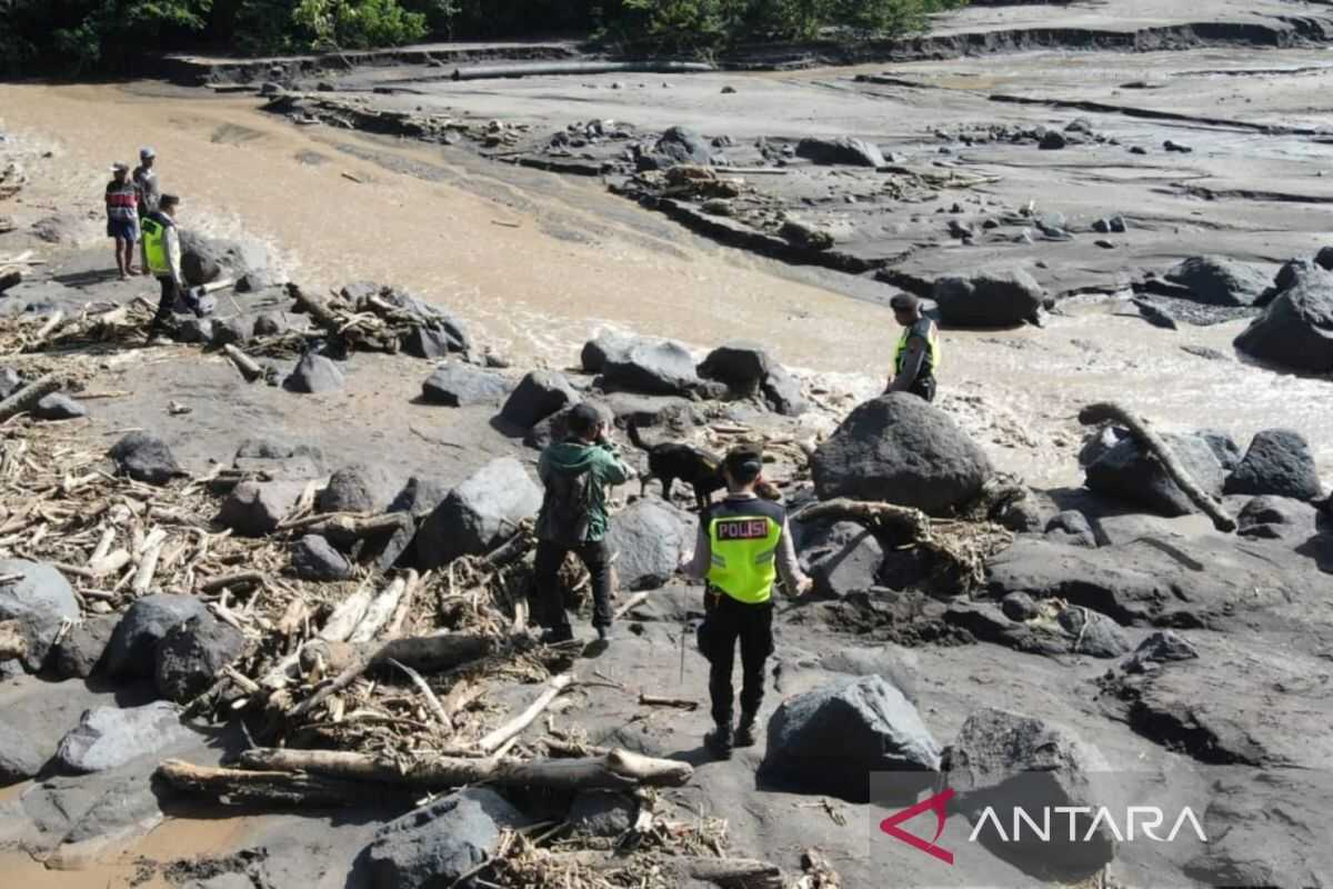 SAR deploys tracking dogs to search for rain-induced lahar victims on the slopes of Mount Merapi