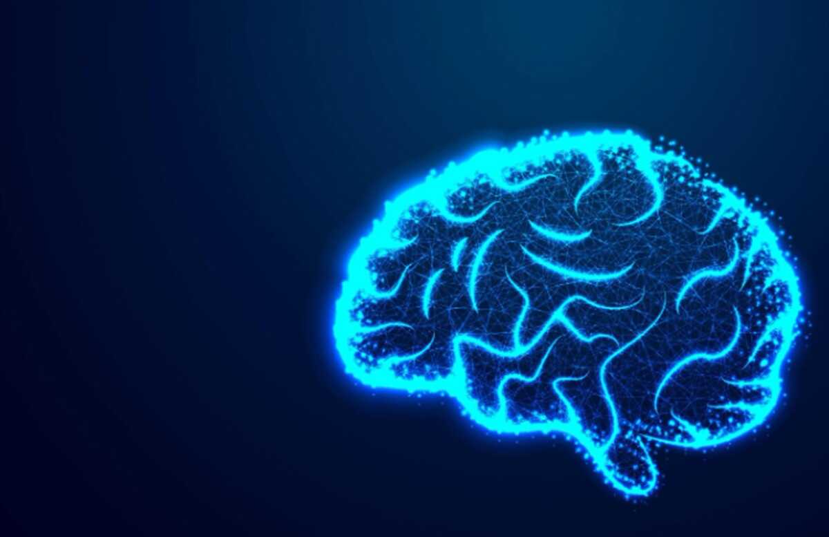 Not at a Single Point, Scientists Reveal Human Intelligence Lies in Brain Networks