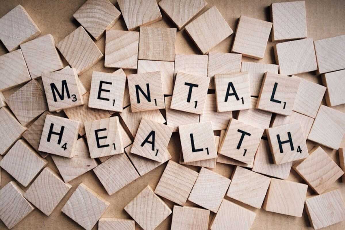 Psychologist explains brain mechanisms behind emotions that lead to violence