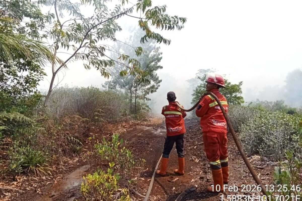 Five regencies and cities in Riau declare emergency status for forest and land fires