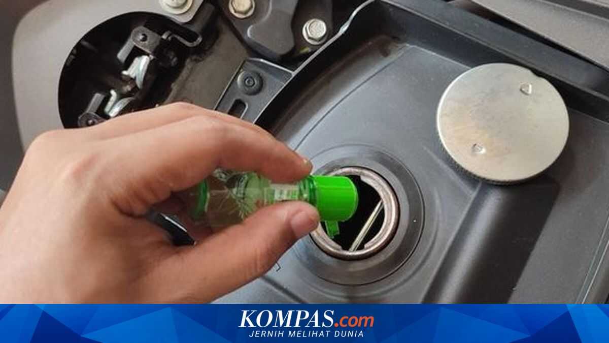 Can Eucalyptus Oil Save Fuel? Expert Explains.