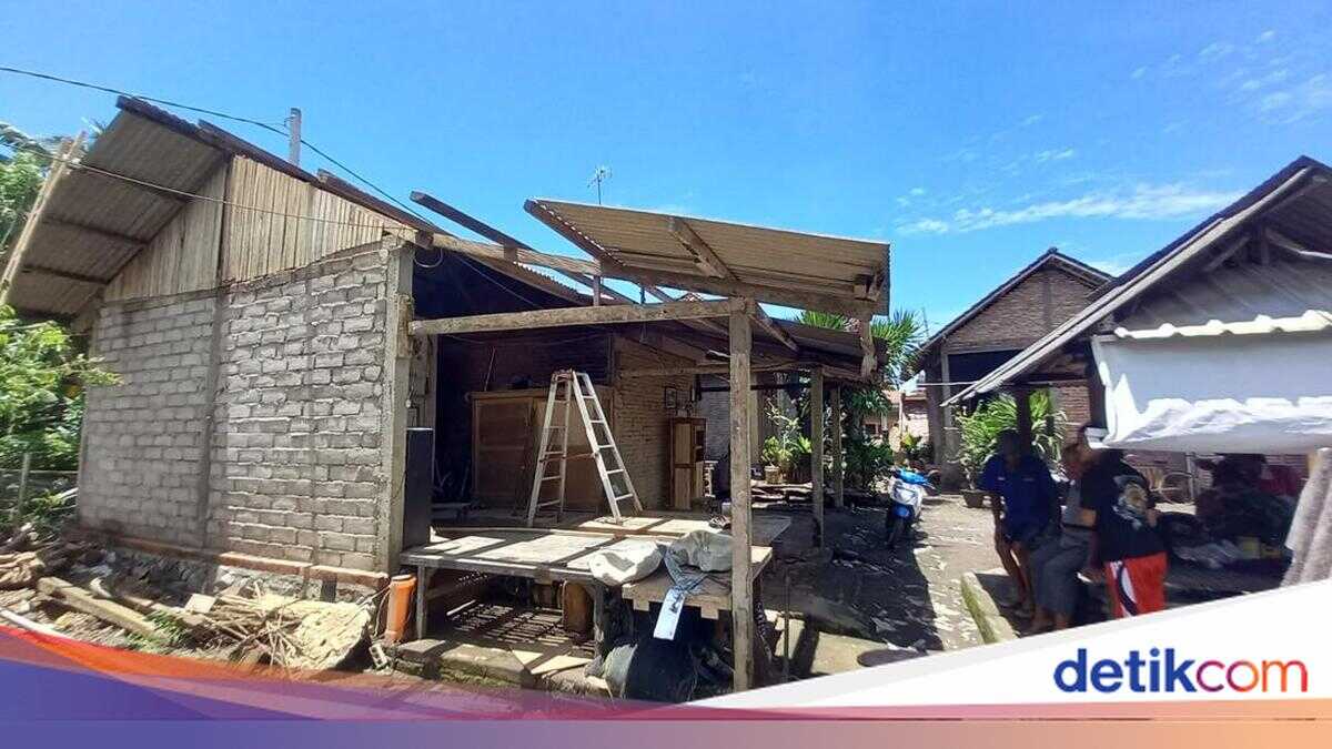 Heavy rain and strong winds lash Jembrana, several trees topple and roofs ripped off