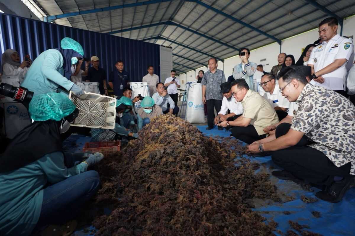 Ministry of Trade optimises Warehouse Receipt System as seaweed exports reach China
