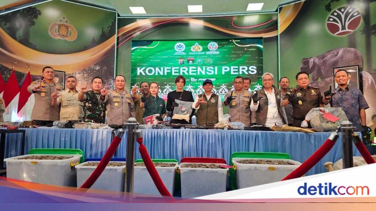 Animal welfare activist lauds the Riau Police for swift capture of elephant poachers: a new milestone