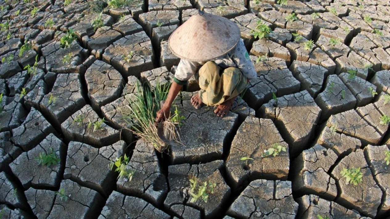 BMKG Predicts Dry Season to Begin in April, Peaking in August