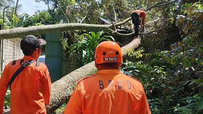BMKG: Heavy rain and strong winds to hit Java, Bali, NTB-NTT tomorrow