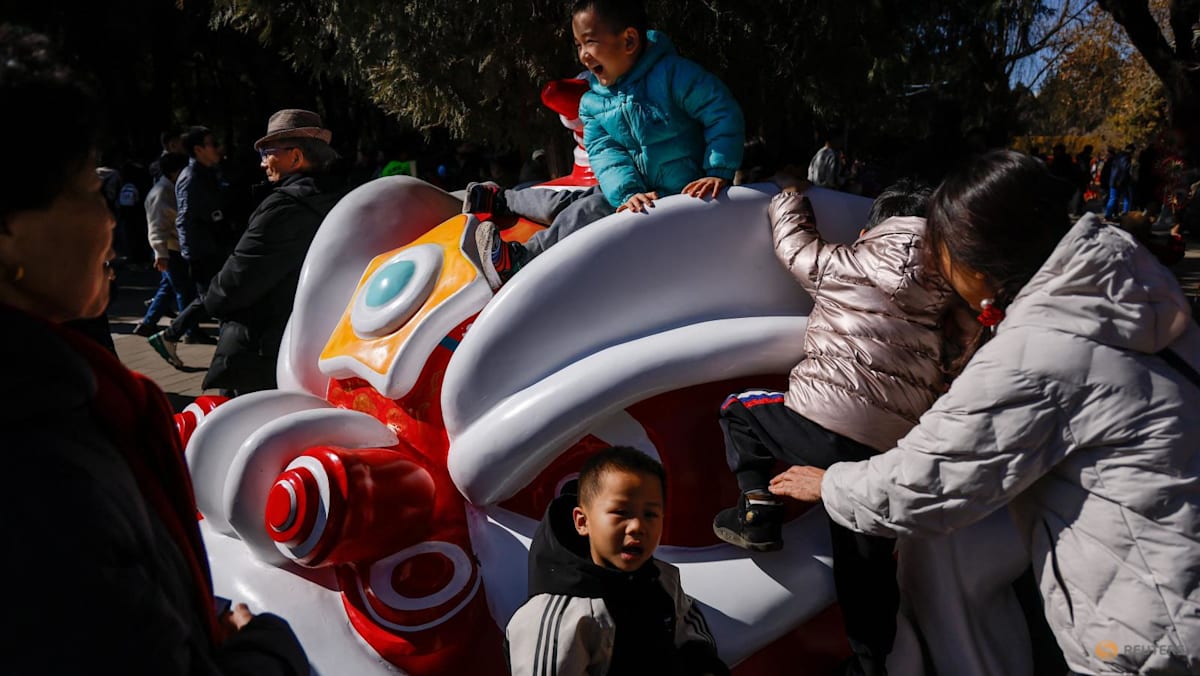 China to build 'birth-friendly society', refine social security system