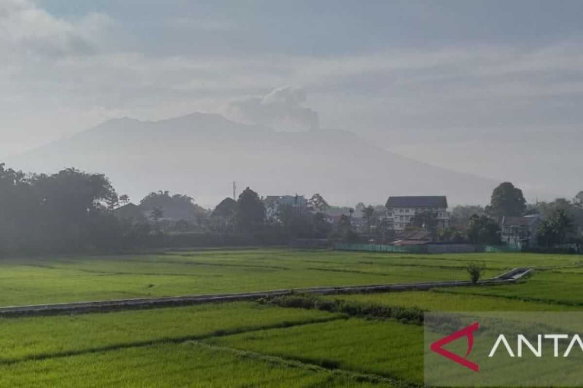 Geology Agency says Mount Marapi seismic activity relatively stable