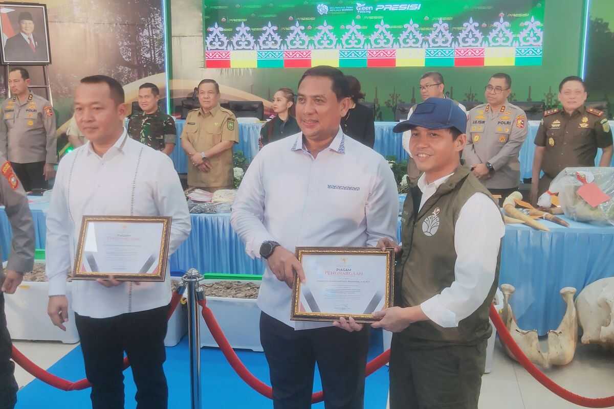 The Government Is Preparing a Presidential Instruction to Safeguard the Sumatran Elephants