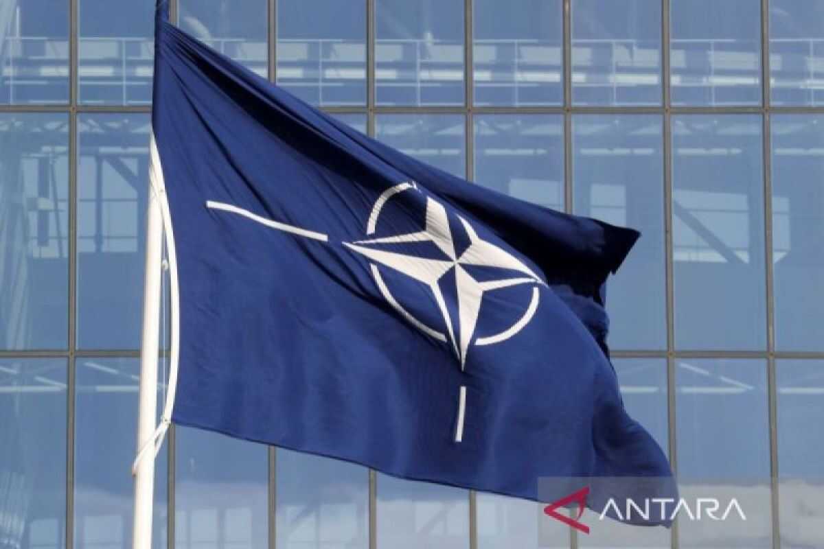 NATO criticised, Canada: The North Atlantic Treaty Organisation must look north