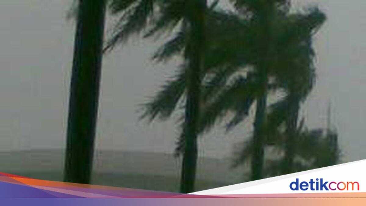 Warning of Potential Strong Winds Across Jakarta Through Tomorrow; Affected Areas Named