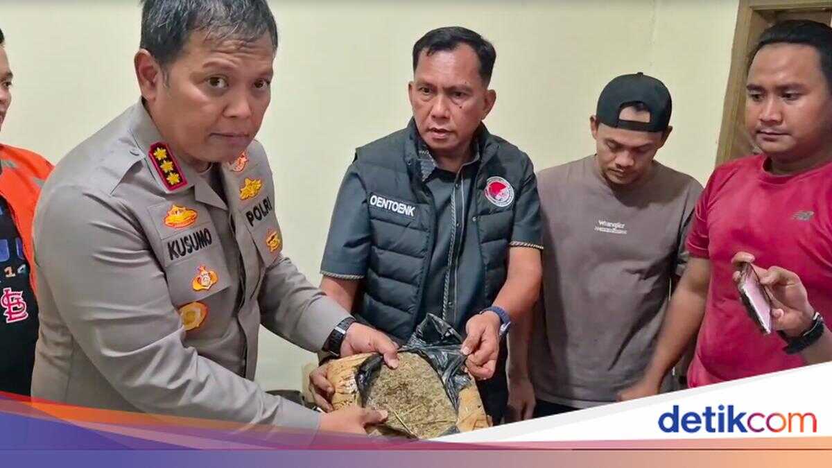 Police Arrest Drug Dealer in Bekasi City as 44 kg of ganja Seized