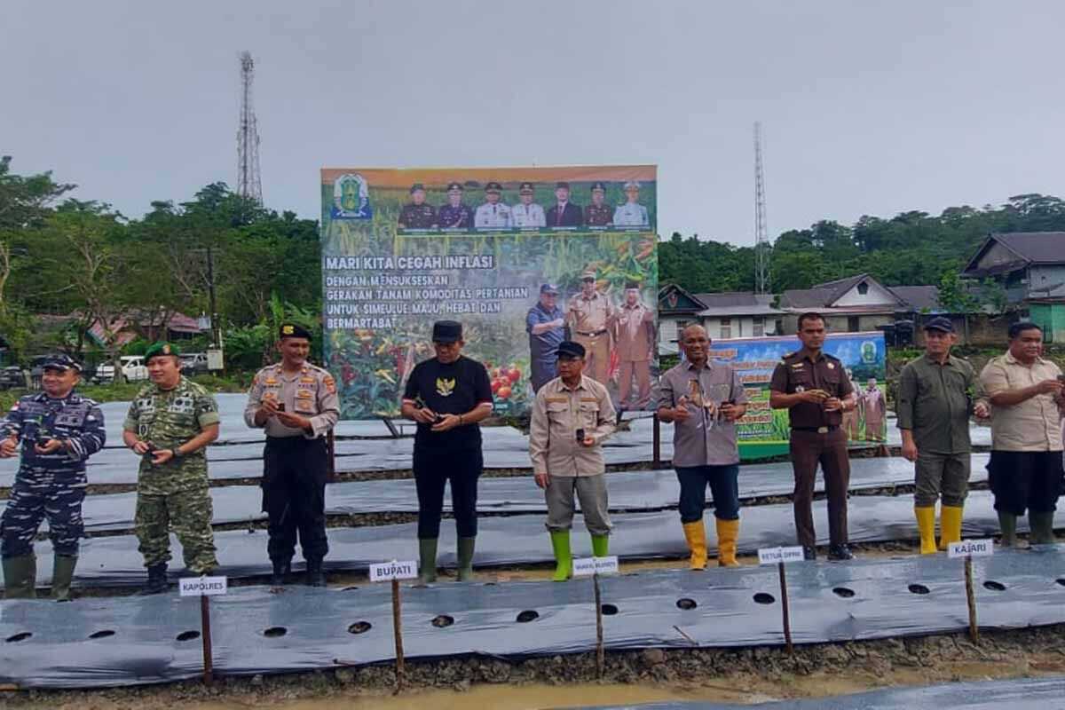 Simeulue Regency urges residents to utilise idle land for farming