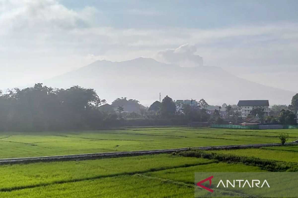 Geology Agency: Mount Marapi activity shows fluctuating pattern