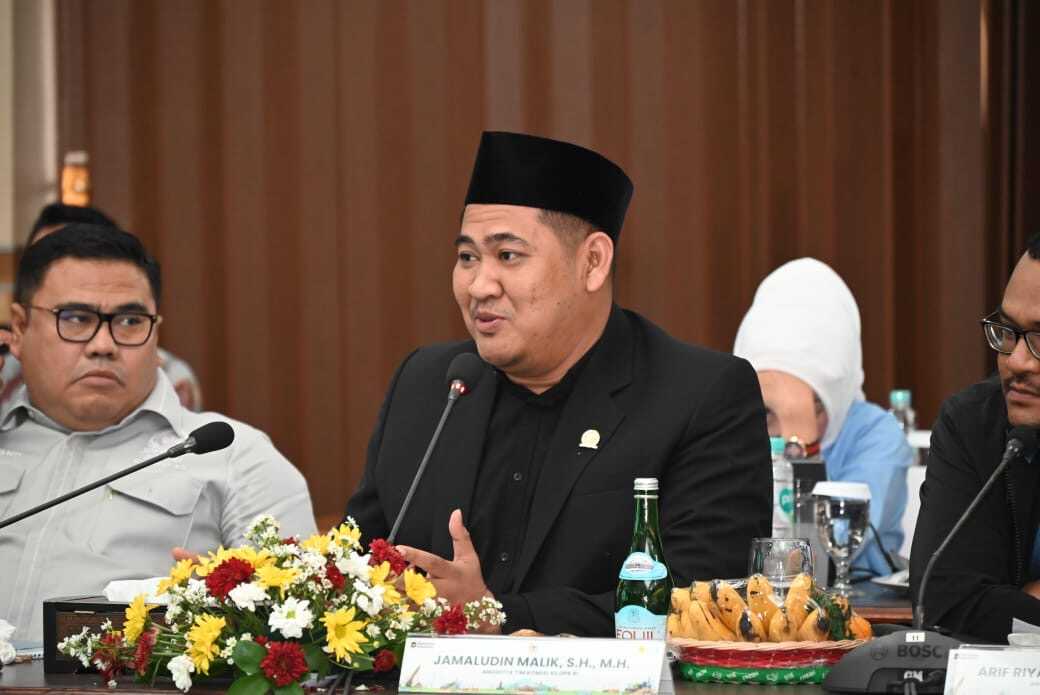 Government Urged to Safeguard Stability of National Energy Supply and Prices