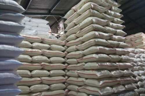 Hajj Rice Exports to Saudi Arabia Seen as Strengthening Indonesia's Trade Balance