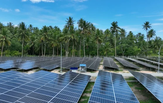 Danantara Receives USD 1.4 Billion Investment to Build 50 GW Solar Component Plant