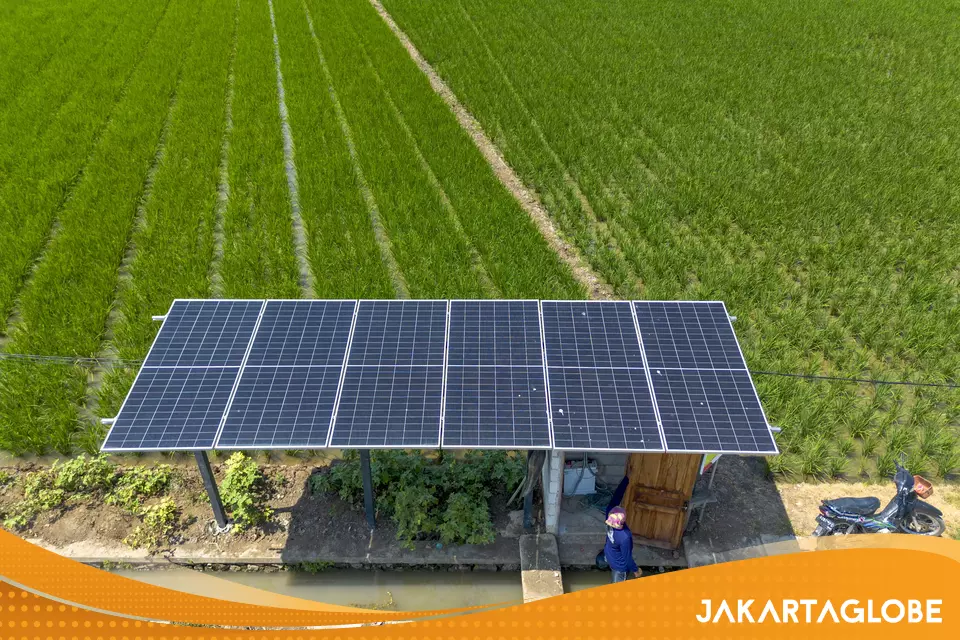 Indonesia Secures $1.4 Billion Investment for Solar Power Expansion - Jakarta Globe