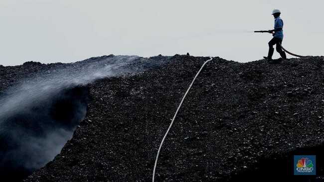 Energy Crisis on the Horizon: Coal Prices Rebound, Up 2%
