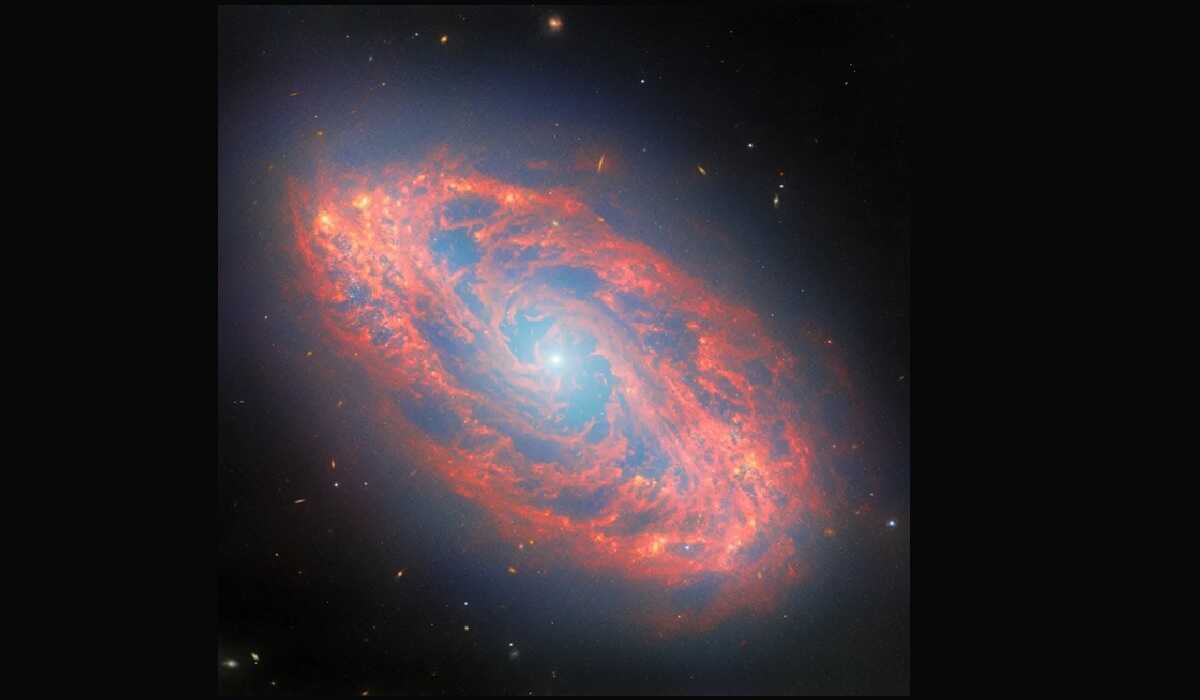 Glimpse of the 'Cosmic Nursery' NGC 5134: James Webb’s Latest Image Reveals the Life Cycle of Stars