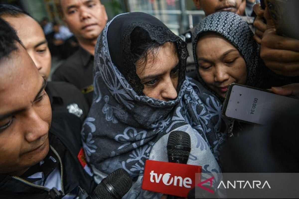 Law, from pangolin scales to the Fadia Arafiq corruption case