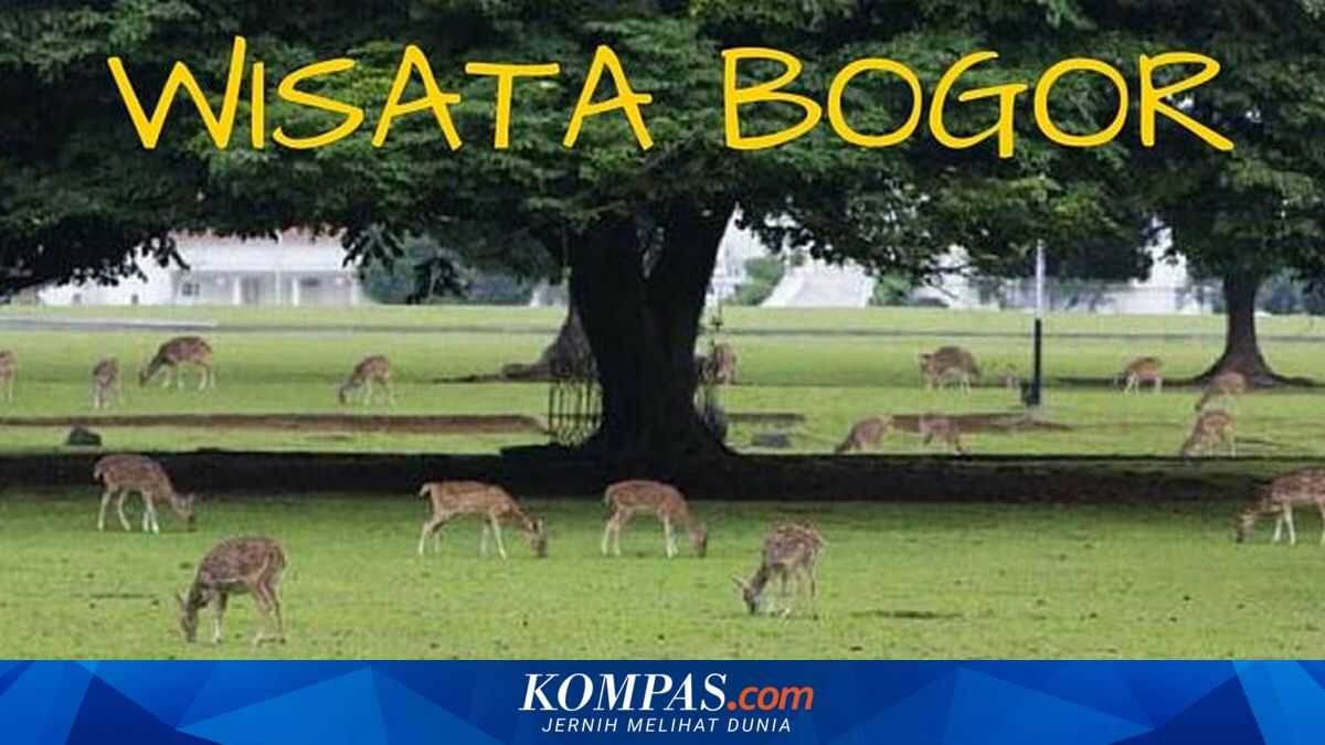 Rekomendasi 6 Wisata di Bogor yang Cocok untuk Bersantai dan Olahraga