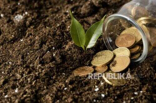 Endowment, Fiscal Discipline, and the Future of Indonesia's Wakaf: Inspirations from the Harvard Endowment