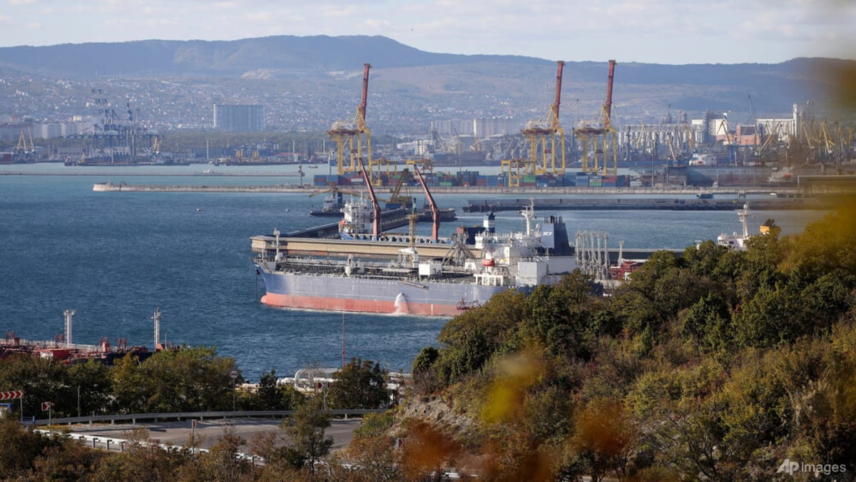 US approves temporary sale of stranded Russian oil to India