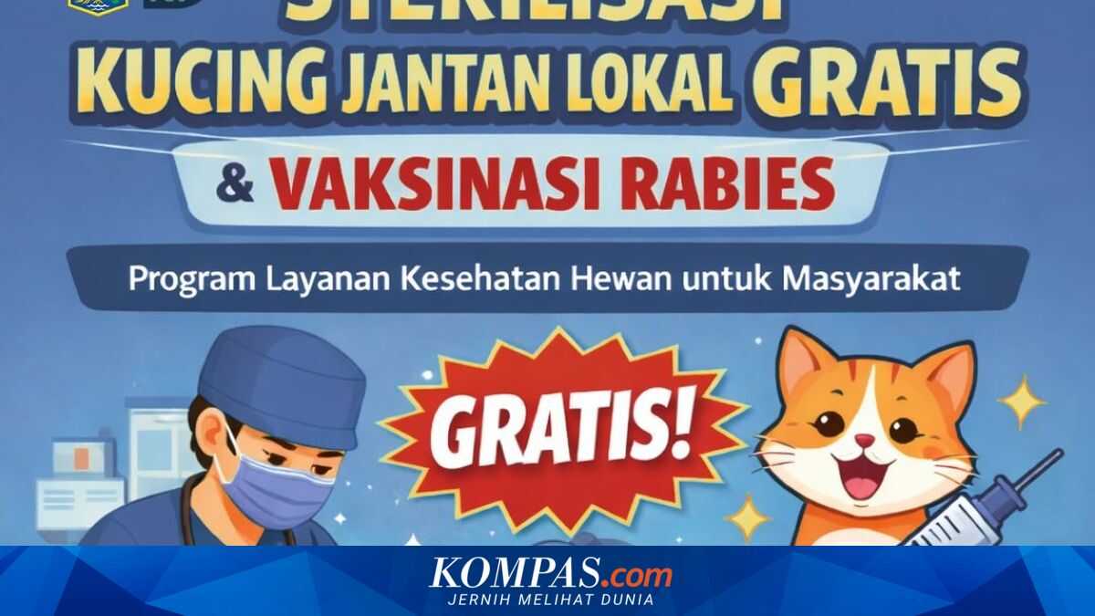 Free Cat Sterilisation in Jakarta in March 2026: How to Register