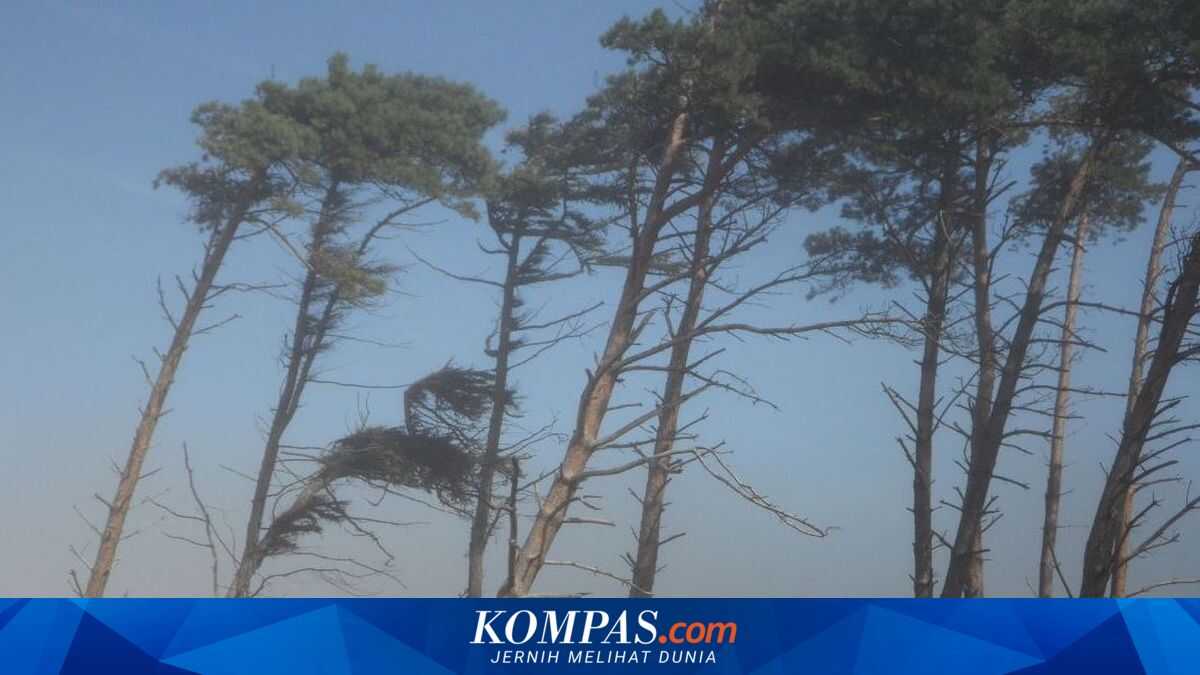 Indonesia More Vulnerable to Tropical Cyclones, What's Causing It?