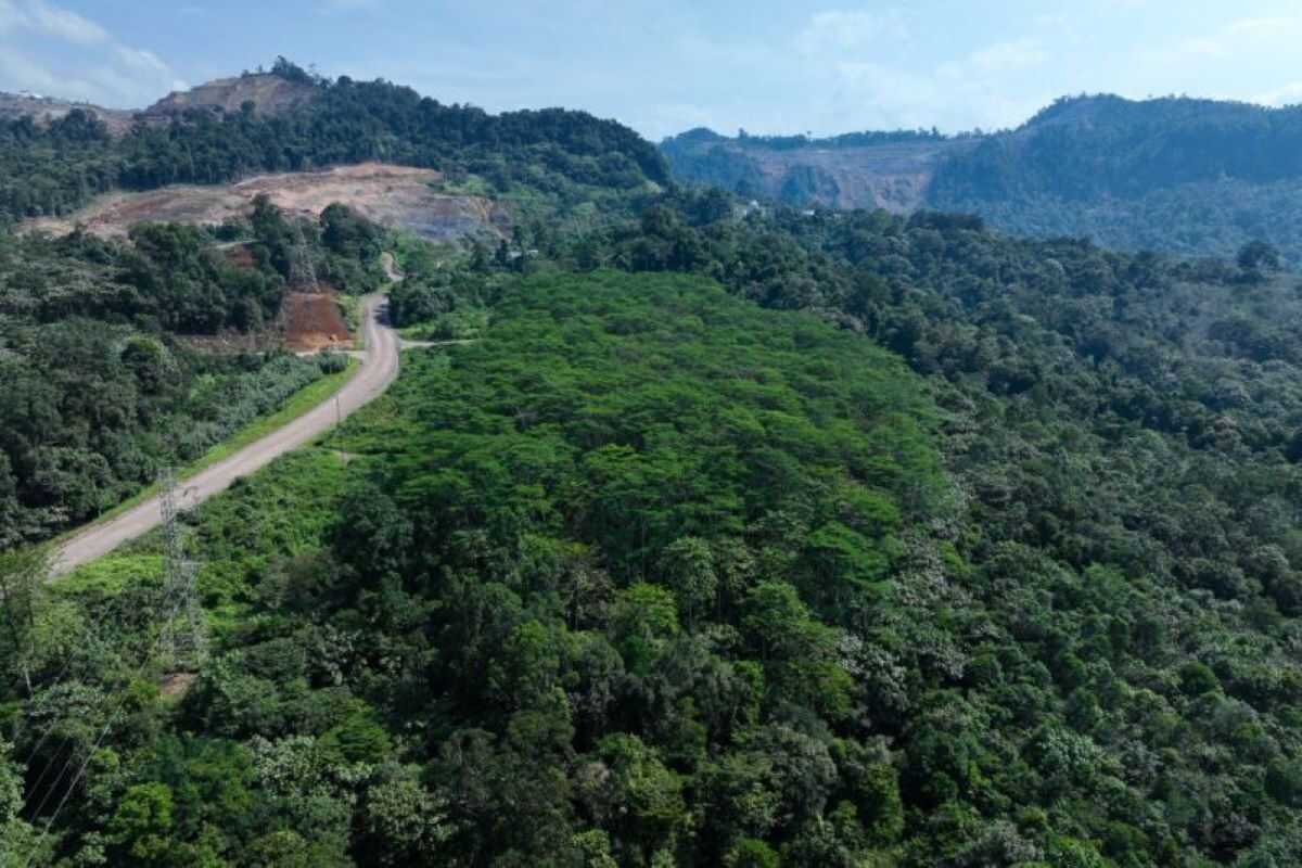 Perhapi Urges Government to Clarify the Future of the Agincourt Mine