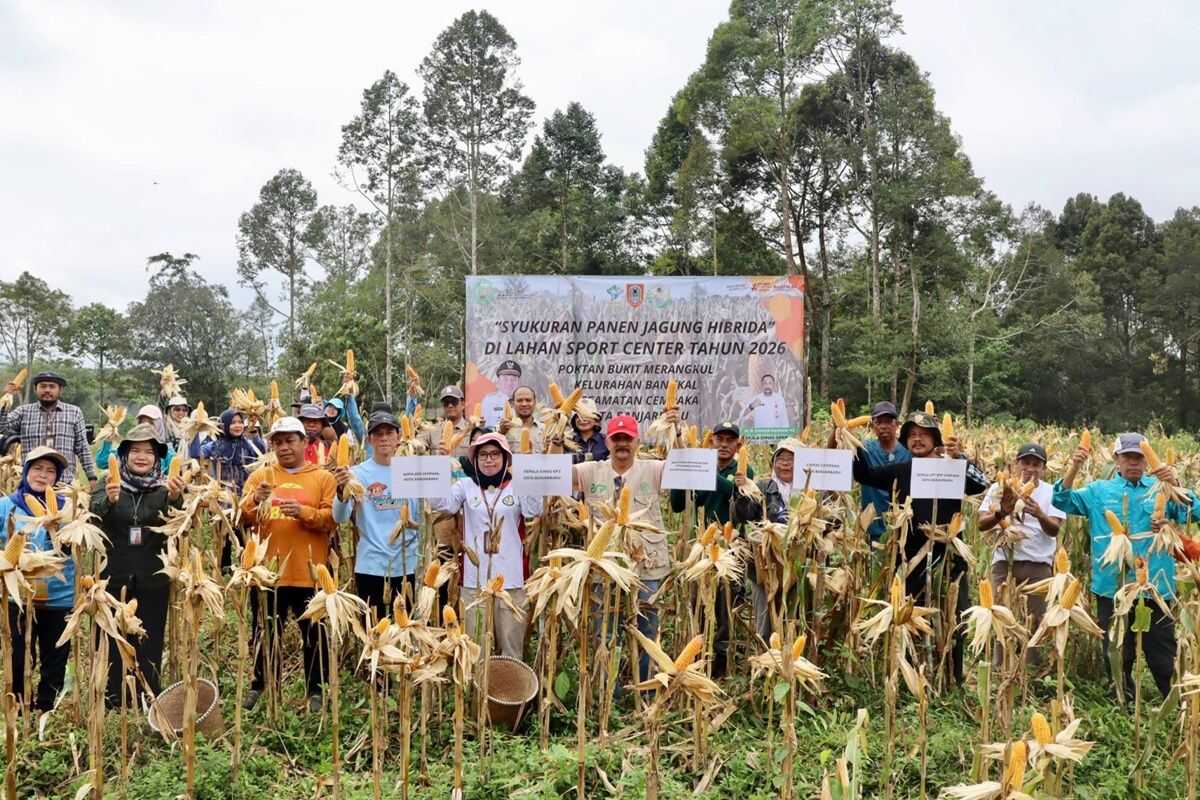 South Kalimantan's DPKP turns Bukit Merangkul into an integrated farming zone