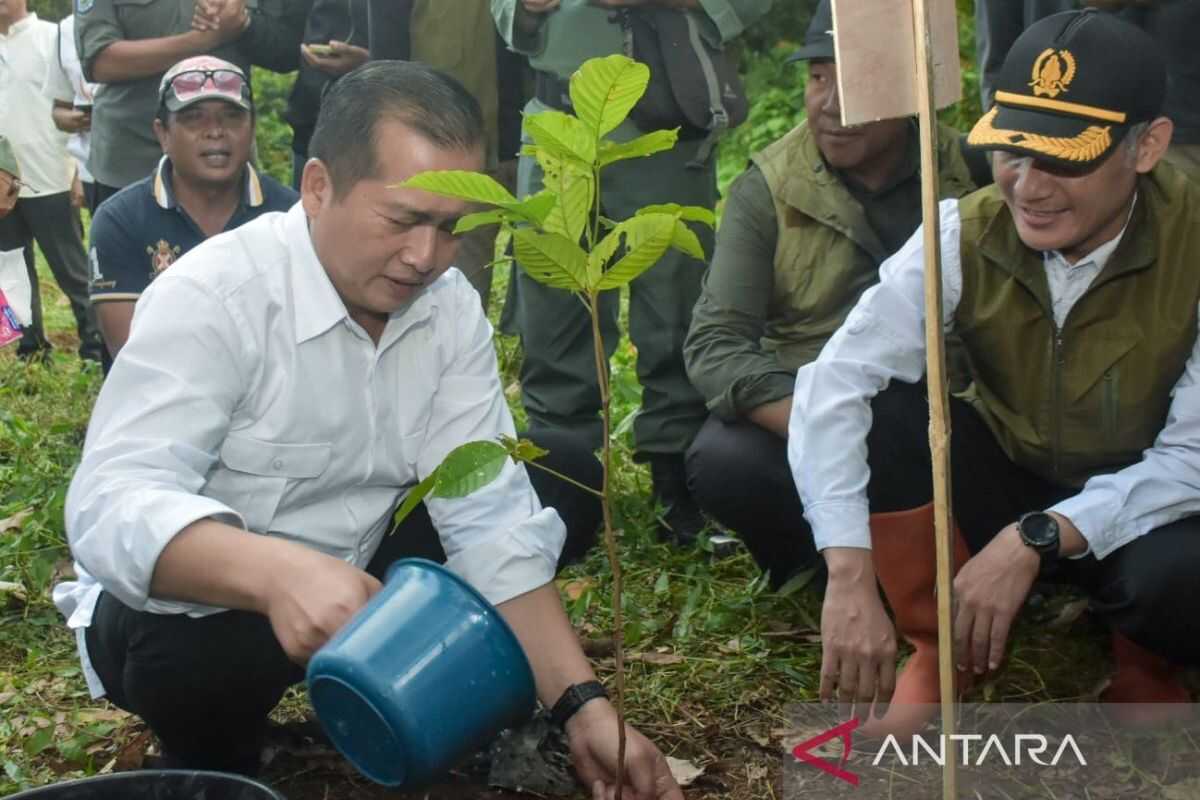 NTB Governor Urges Residents to Preserve Forests