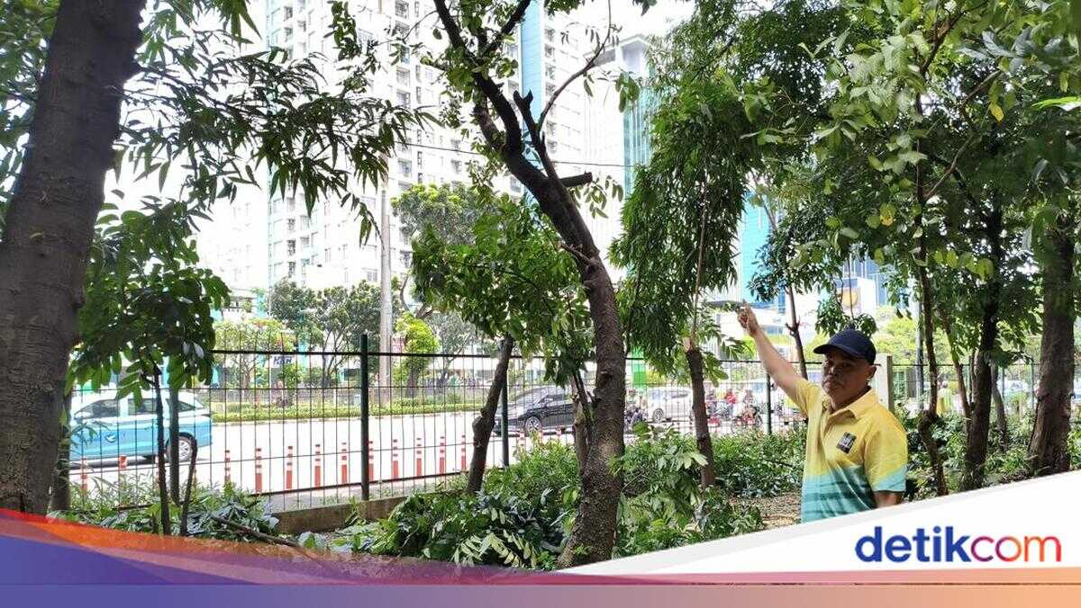 To Deter Immoral Acts, Three Floodlights Reinstalled at Cawang City Park