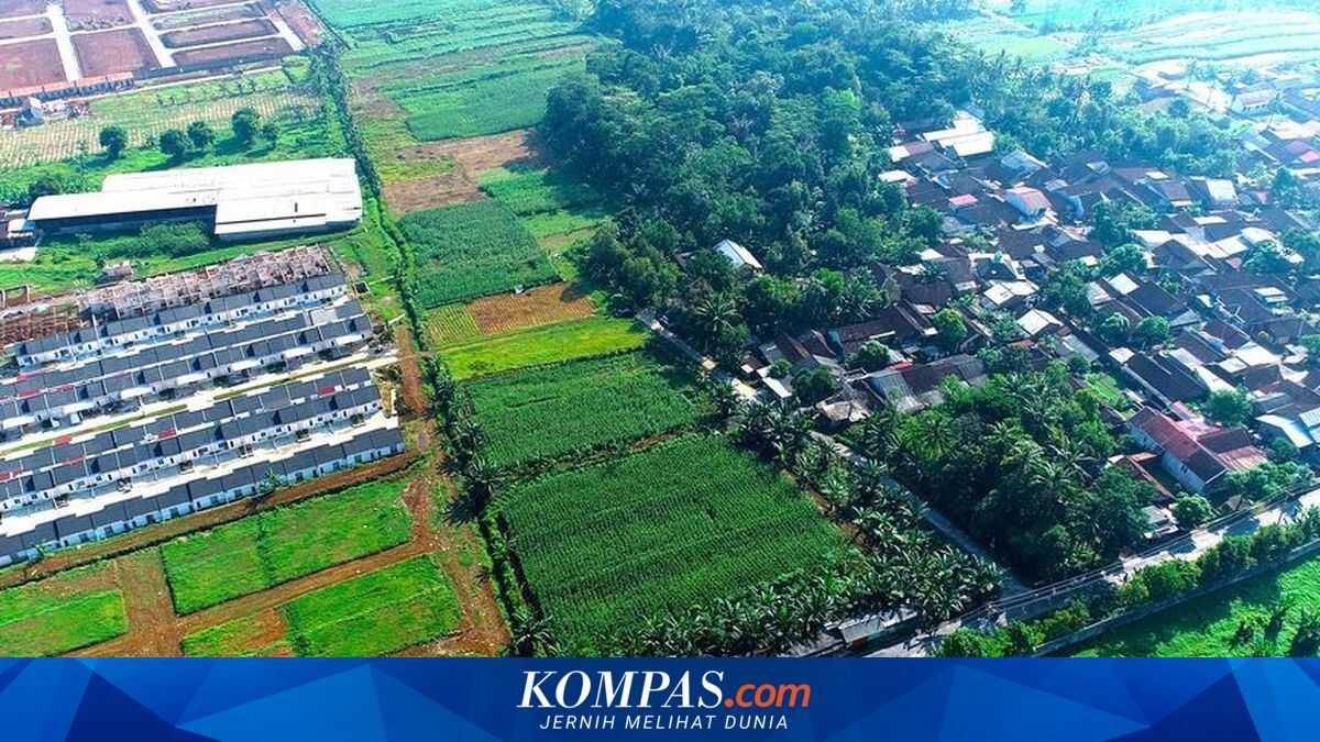 Conversion of Bali's Rice Fields into Villas Now Leads to Criminal Prosecution