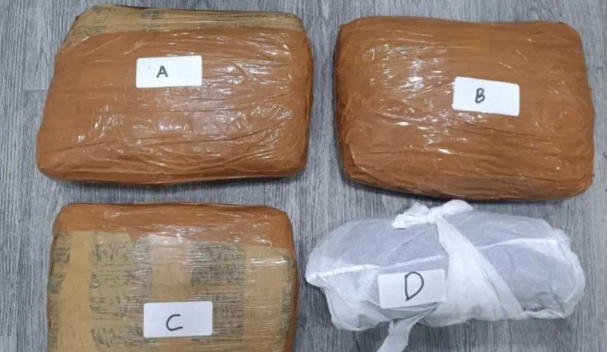 Hotel Room Raid in Tanah Abang, Polda Metro Jaya Seizes 3 Kg of Cannabis