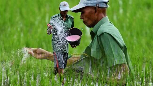 Iran War Claims Fresh Victims: Farmers!