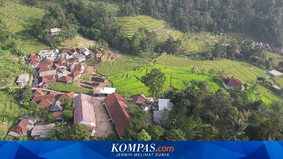 Understanding Agrarian Reform: Who Is Eligible to Receive Free Government Land?