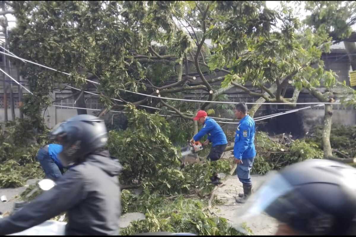 BPBD Cimahi: 129 houses damaged by tornado